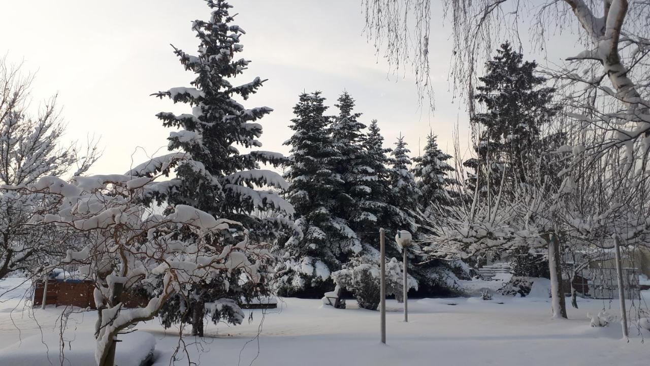 Gite "Le Platane" 45 M2 - Climatise Monswiller Exteriér fotografie