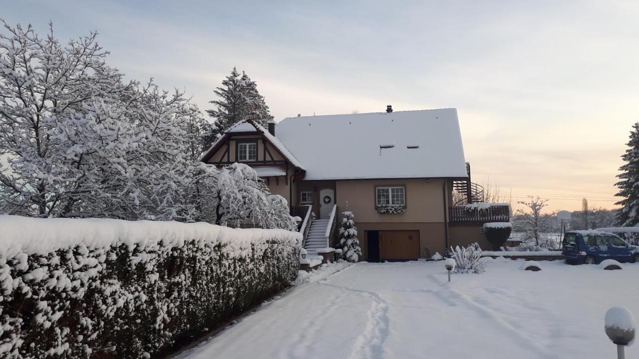 Gite "Le Platane" 45 M2 - Climatise Monswiller Exteriér fotografie