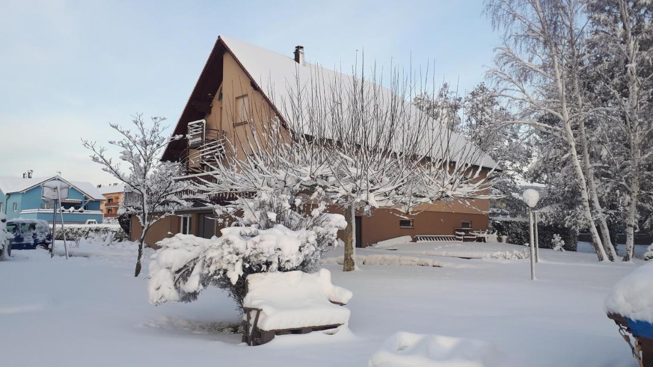 Gite "Le Platane" 45 M2 - Climatise Monswiller Exteriér fotografie