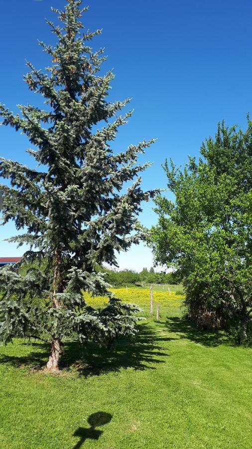 Gite "Le Platane" 45 M2 - Climatise Monswiller Exteriér fotografie